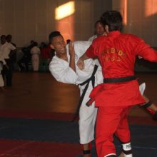 Prvenstvo hrvatske u randori i ju randori borbama