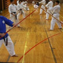 POLAGANJE ZA UČENIČKE POJASEVE