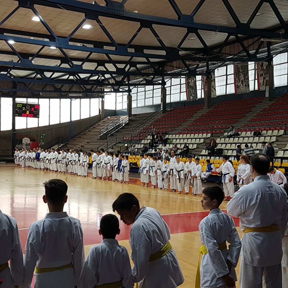 Na prvenstvu u Riminiju Hrvatima pregršt medalja
