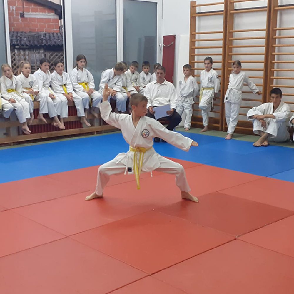 PH u disciplini kata