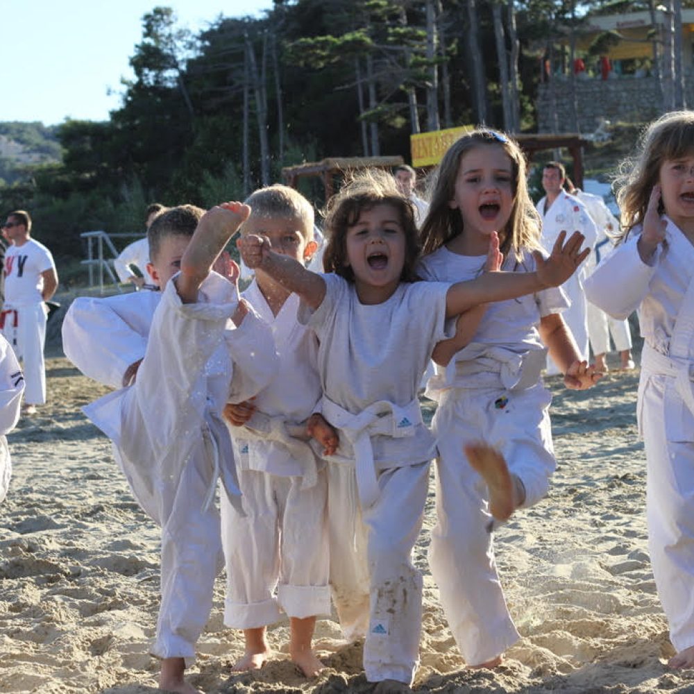 SRETAN I BLAGOSLOVLJEN BOŽIĆ I NAJSRETNIJU I NAJUSPJEŠNIJU NOVU GODINU ŽELE VAM                     SPORTAŠI HRVATSKOG NANBUDO SAVEZA