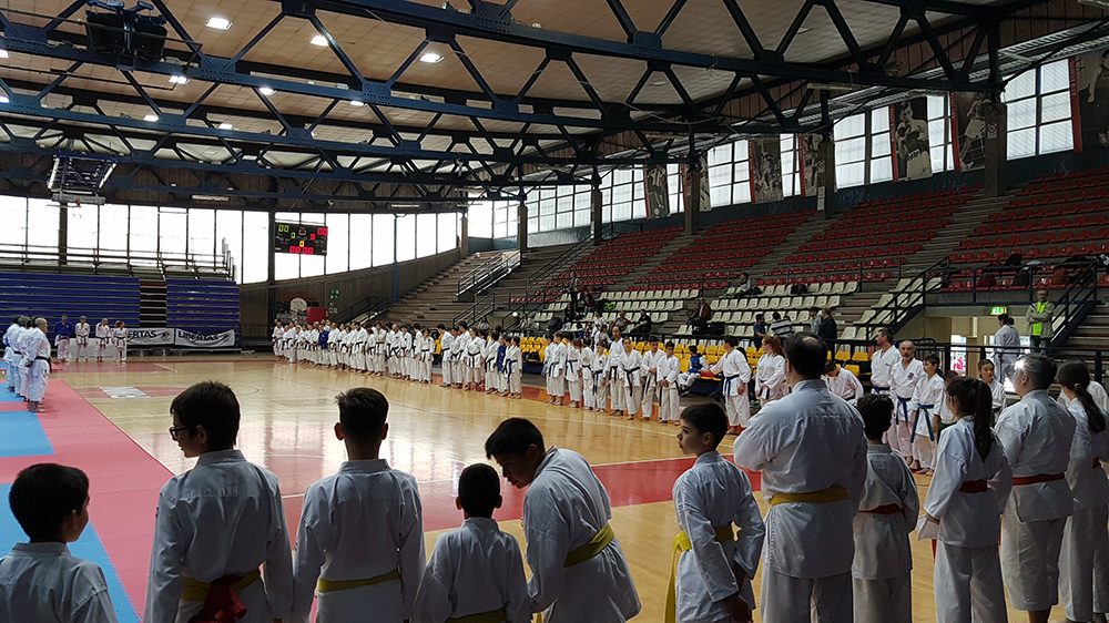 Na prvenstvu u Riminiju Hrvatima pregršt medalja