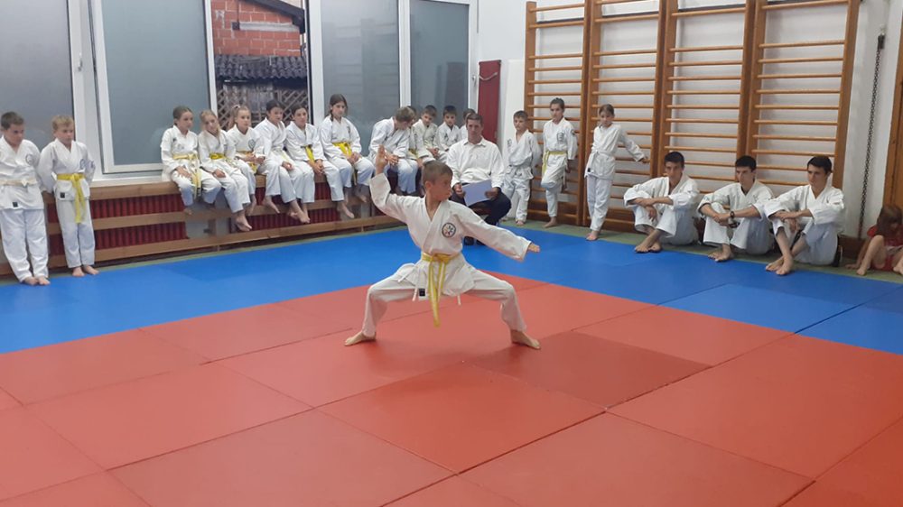 PH u disciplini kata
